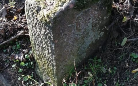 Grenzstein am Weg zur Burg Staufenberg